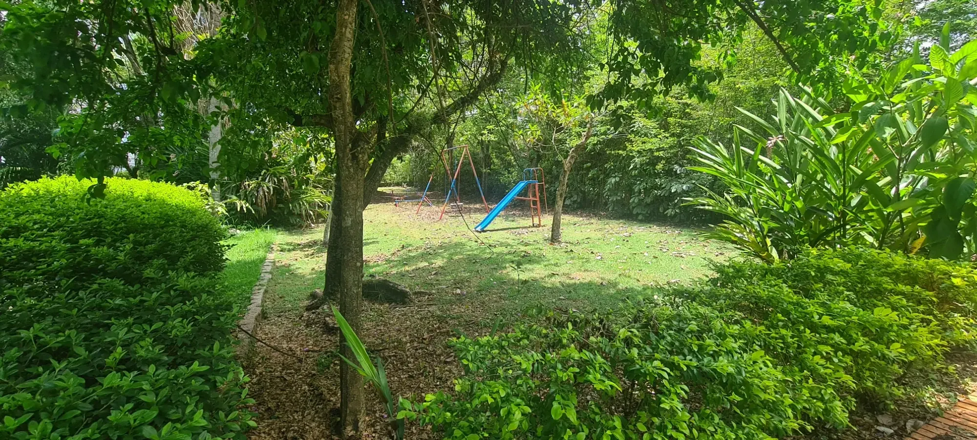 Foto do imóvel: Chácara com 3 Quartos à Venda, 367 m² em Área Rural de Cesário Lange - Cesário Lange