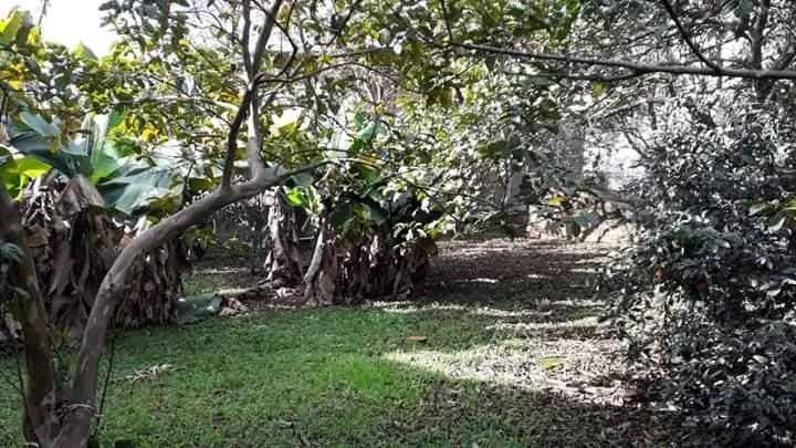 Imagem Terreno para Venda em São Leopoldo / RS no bairro Arroio da Manteiga