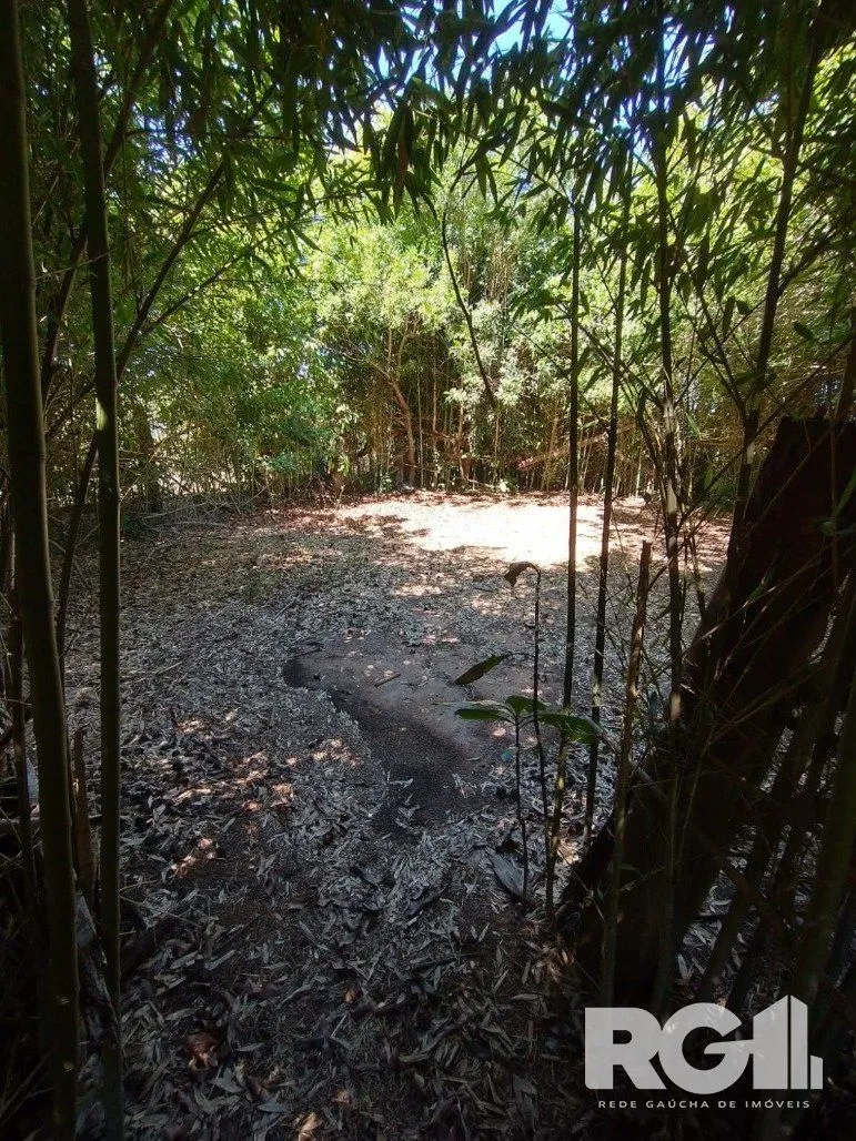 Imagem Excelente Sítio na Capital de 6.737,57 m2, Bairro Lami, Porto Alegre RS