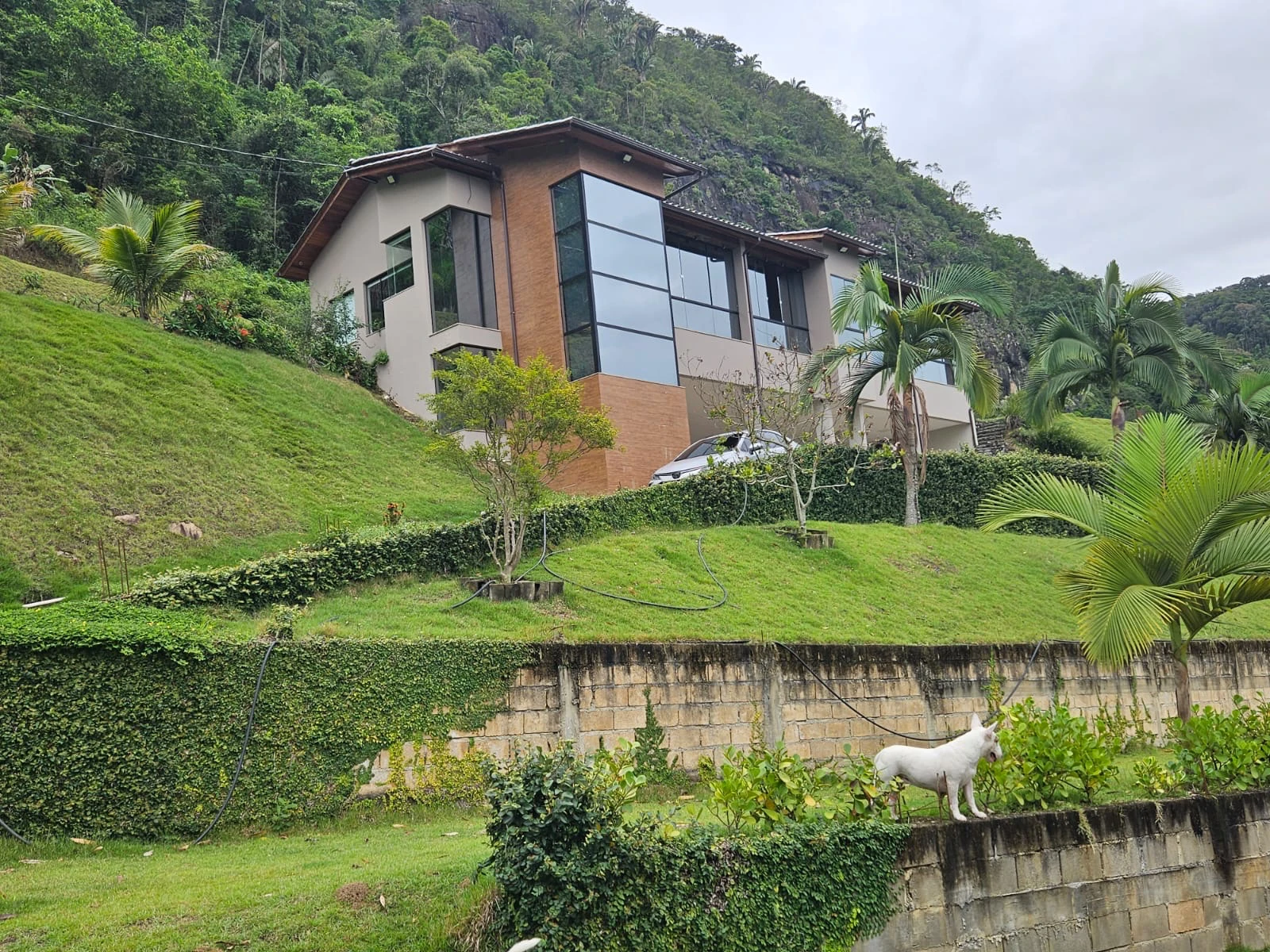 Imagem Casa com 3 Quartos à Venda, 400 metros em Vargem Alta - Vargem Alta