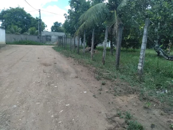 Imagem Terreno de 3000m² à venda, localizado em Chã de Onça, Paudalho - Pernambuco.