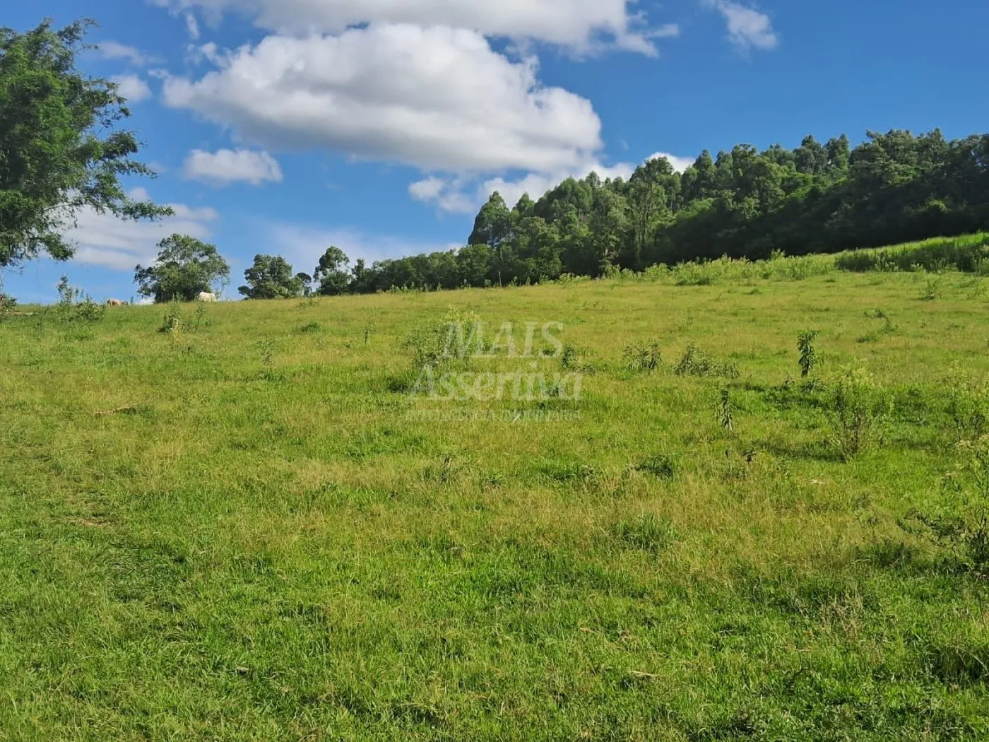 Imagem Área de Terras à venda, localizada em Taquara, ótima para plantação ou criação