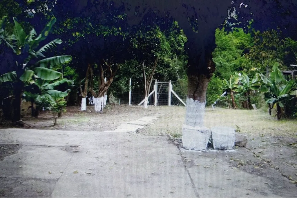 Imagem Terreno em Nonoai