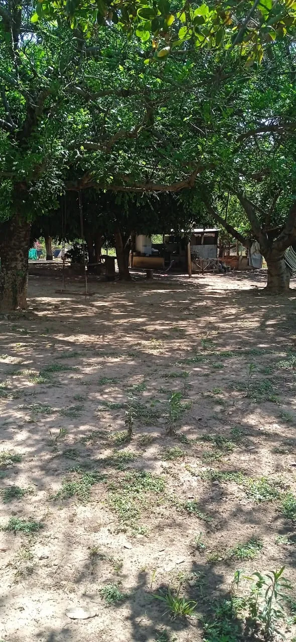 Imagem Sítio com 3 quartos, 10 mil m² em Cuiabá, Mato Grosso