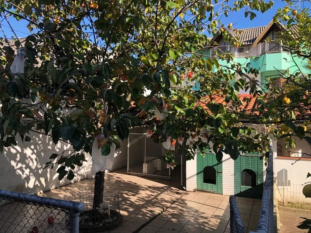 Imagem Casa em Menino Deus