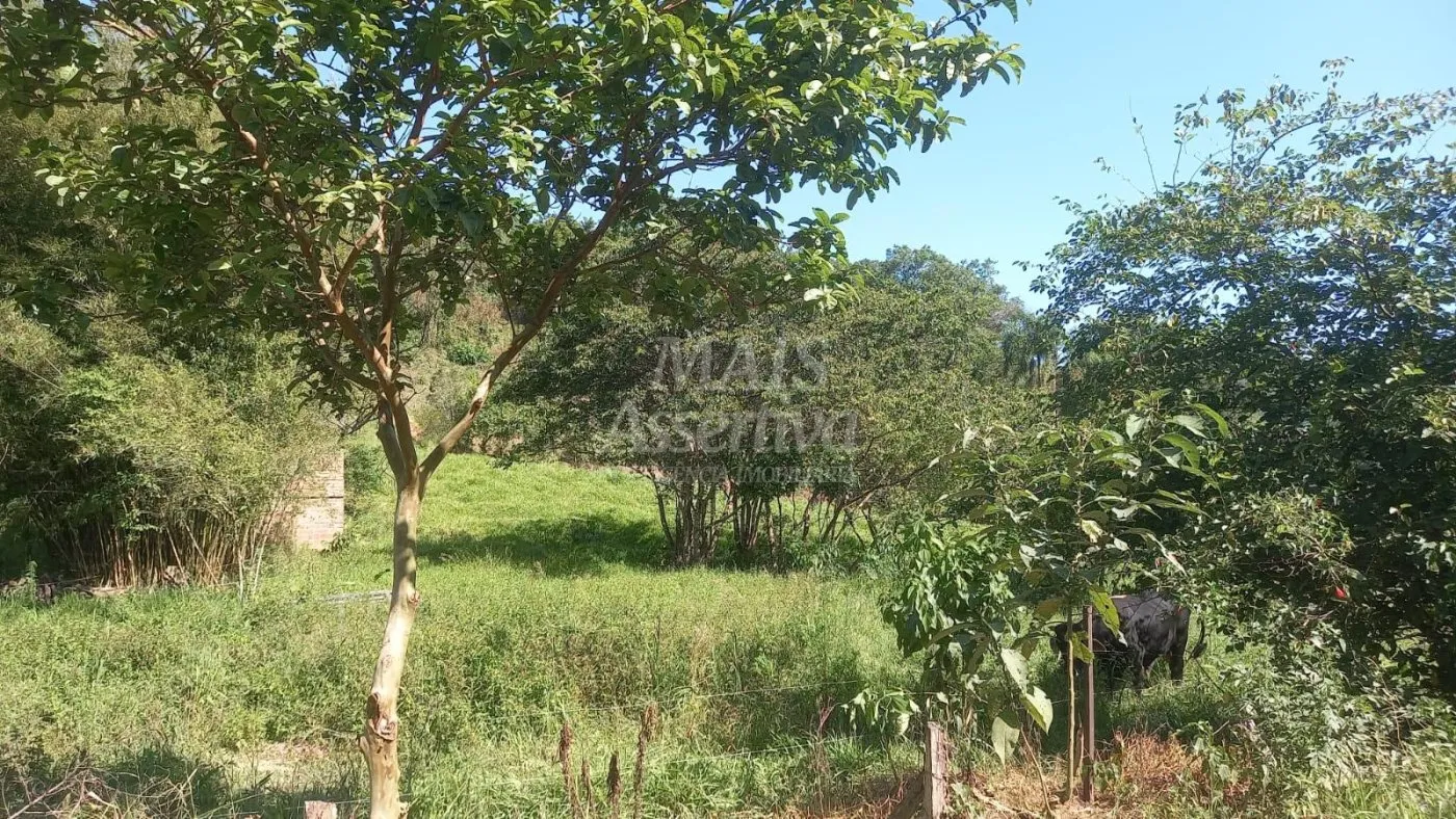 Imagem Excelente Chácara para Venda em Taquara Bairro Pega Fogo