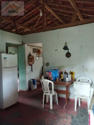Imagem CHÁCARA CANANÉIA