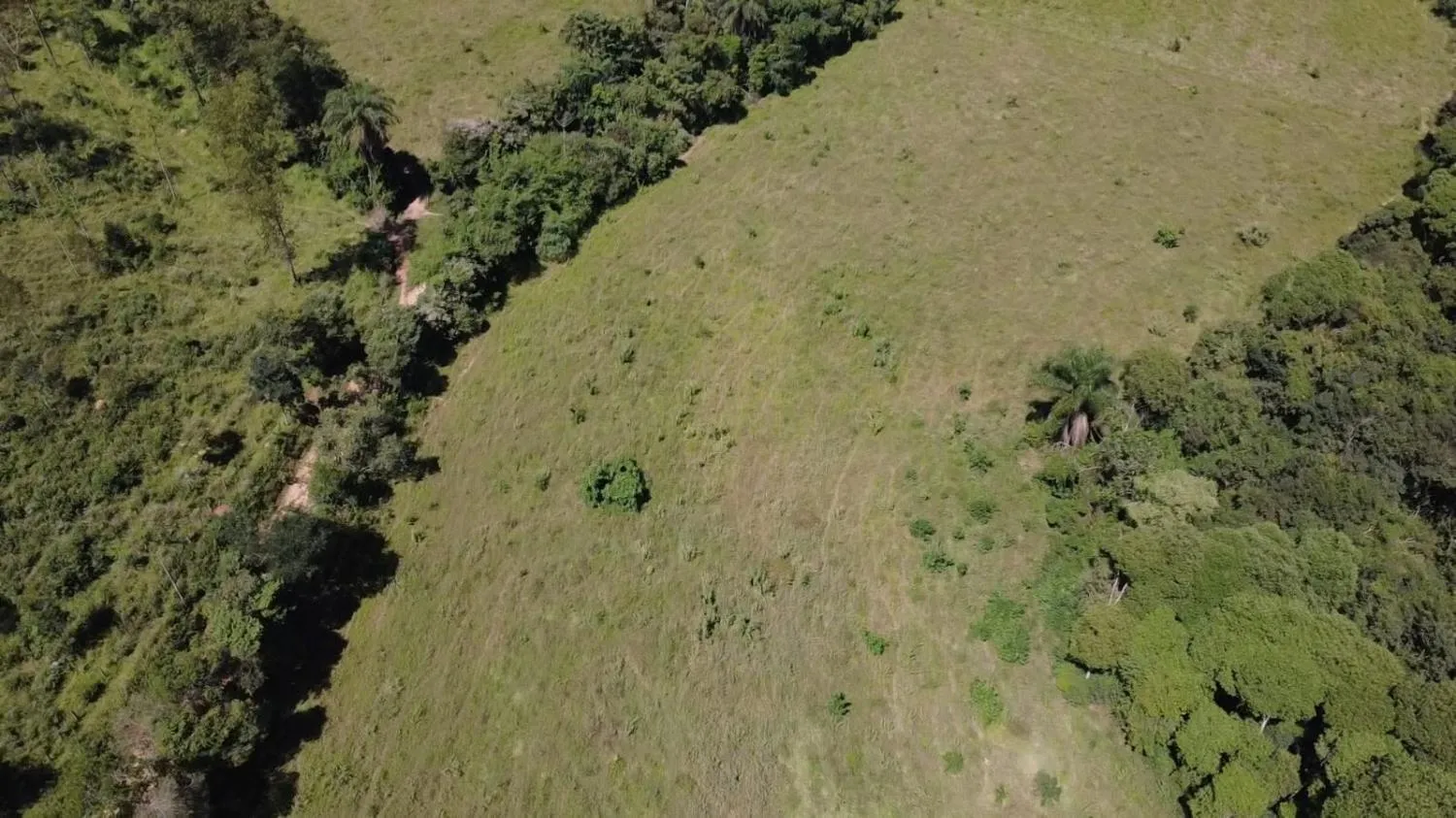 Imagem TERRENO À VENDA EM ITAGUARA / mg 30 HECTARES DE TERRA