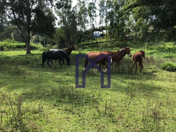 Imagem Sítio com 3 dormitórios à venda, 359300 m² por R$ 2.200.000,00 - Zona Rural - Pedralva/MG