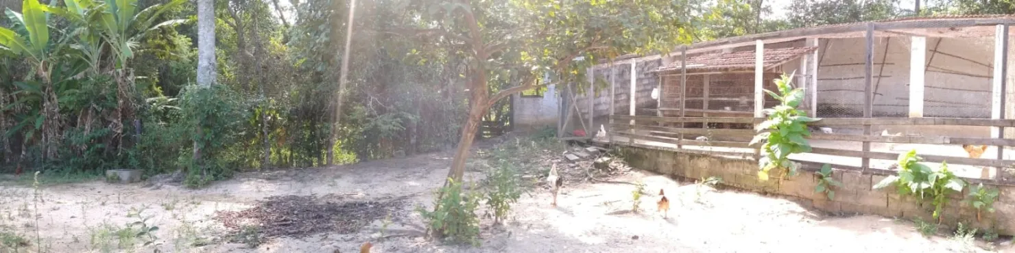 Imagem Chácara à venda 2 Quartos, 6 Vagas, 65000M², Sete Voltas, Taubaté - SP