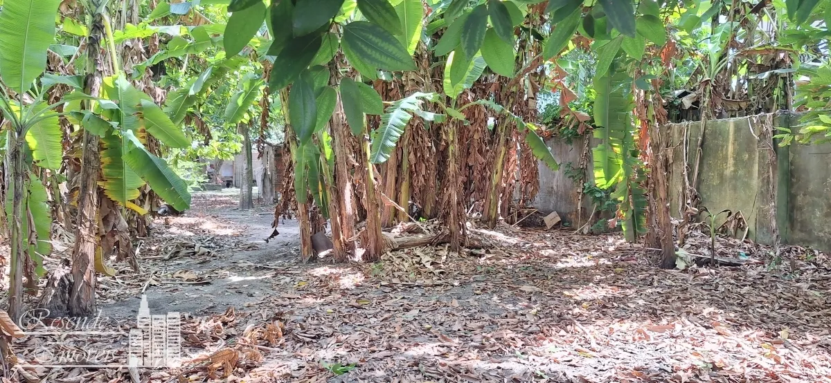 Imagem CASA 5 DORMITÓRIOS À VENDA EM UMARIZAL, BELÉM/PA