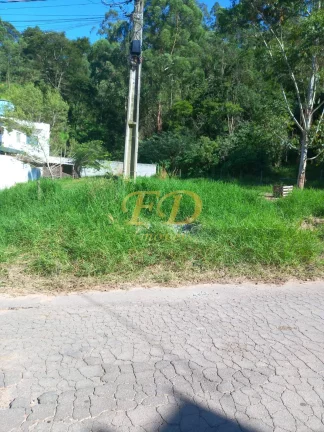 Imagem Terreno em Terra Preta/ Jardim Pereira