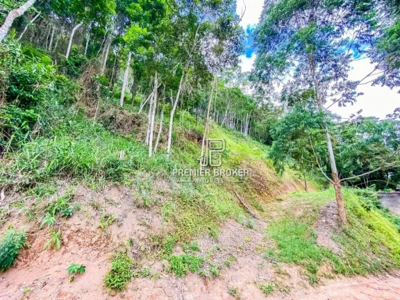 Imagem Terreno à venda, 3200 m² por R$ 220.000,00 - Pessegueiros - Teresópolis/RJ