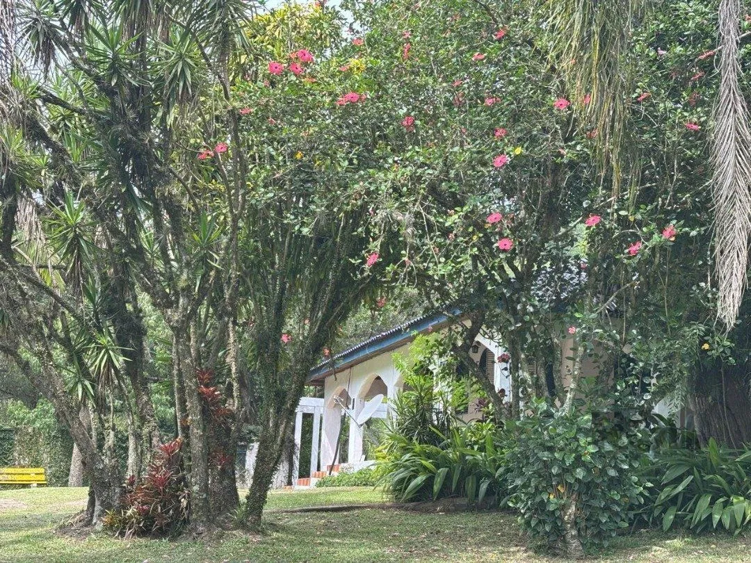 Imagem Vendo um Lindo Sítio de 22ha em Itapuã com Infraestrutura há 3 km do Parque Estadual de Itapuã