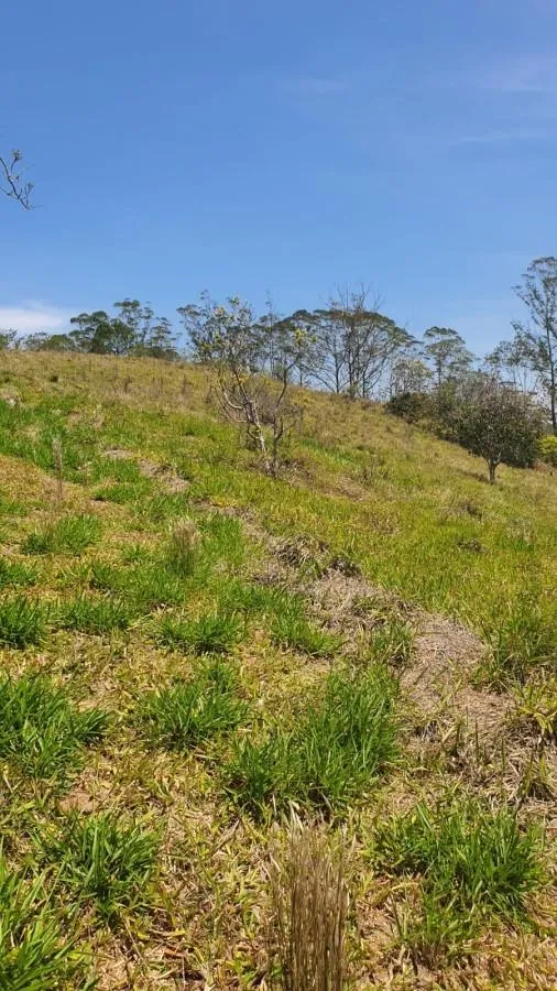 Imagem Terreno para Venda em Ribeirão Pires / SP no bairro Quarta Divisão