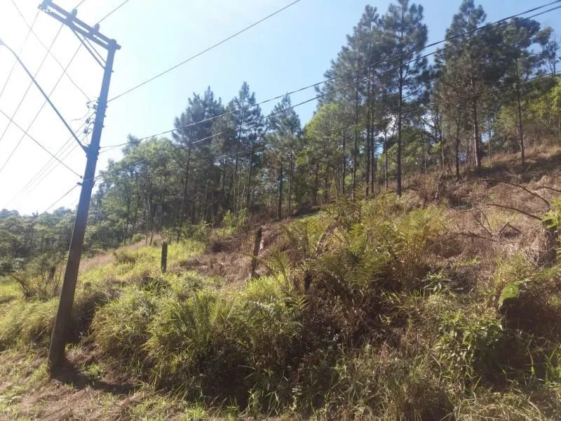 Imagem Área para Venda em Ribeirão Pires, Ouro Fino Paulista