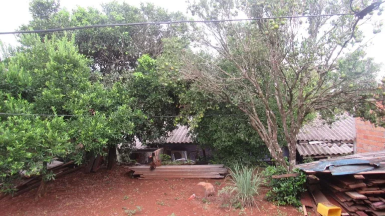 Imagem Casa para Venda em Concórdia, Santa Rita, 1 dormitório, 1 banheiro