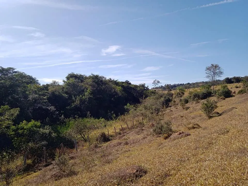 Imagem Vendo Excelente Fazenda em Bonfim/MG 90 hectares de terra