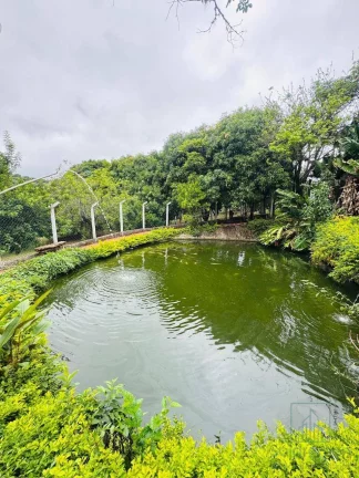 Imagem Chácara Pé na Água Joanopolis 2.500 m² de terreno - R$5.000.000,00
