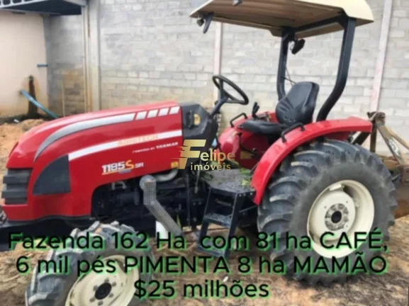 Imagem FAZENDA DE ALTO PADRÃO EM EUNÁPOLIS/BA 162 HECTARES DOCUMENTADOS 81 há de CAFÉ.