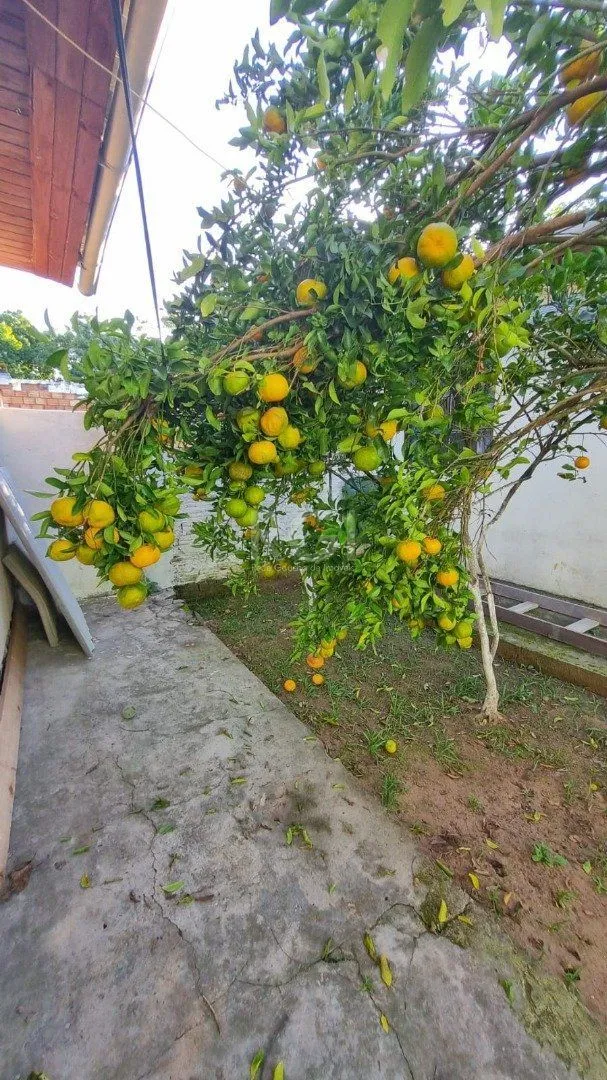 Imagem Terreno em Hípica