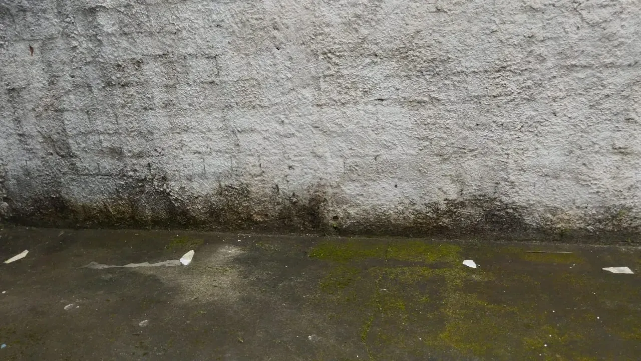 Imagem Casa com 3 Quartos à Venda, 80 m² em Rio Largo - Rio Largo