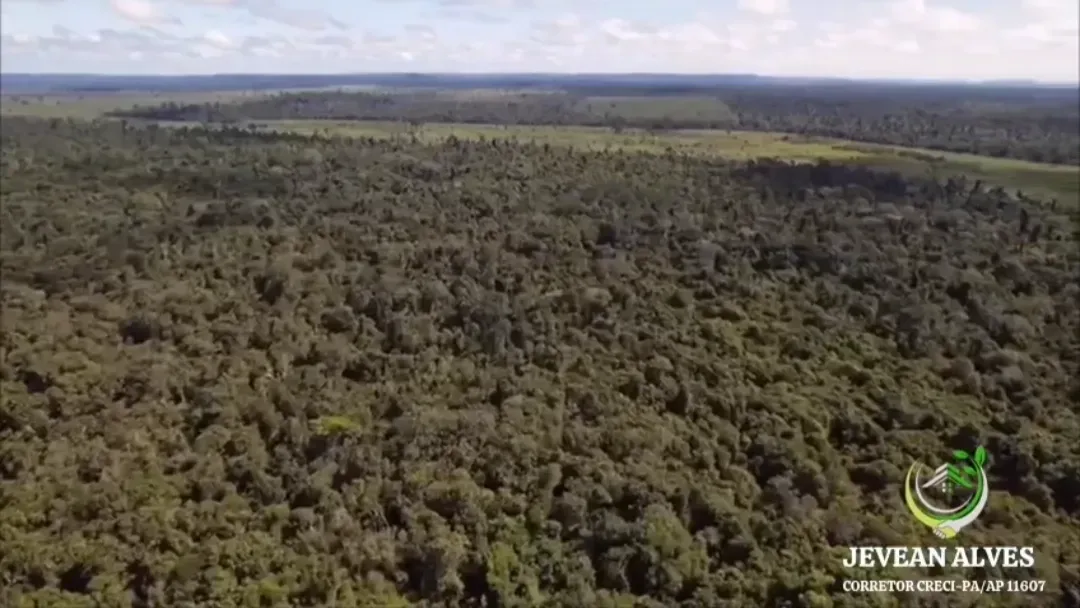 Imagem Fazenda à Venda, 1.476 HA em São Félix do Xingu - São Félix do Xingu