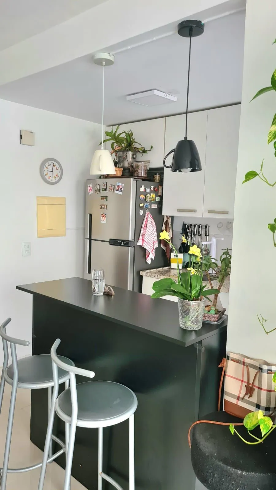 Imagem Apartamento 2 Dormitórios Jardim Carvalho
