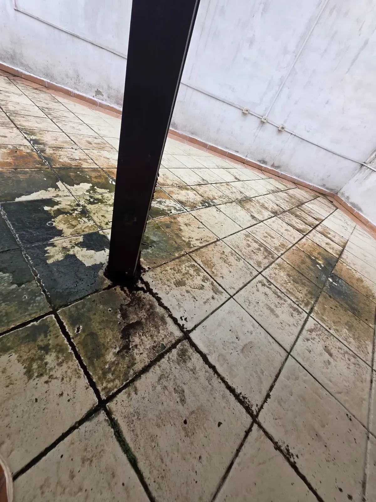 Imagem Casa de Condomínio com 2 Quartos à Venda, 103 m² em Vila Cascatinha - São Vicente