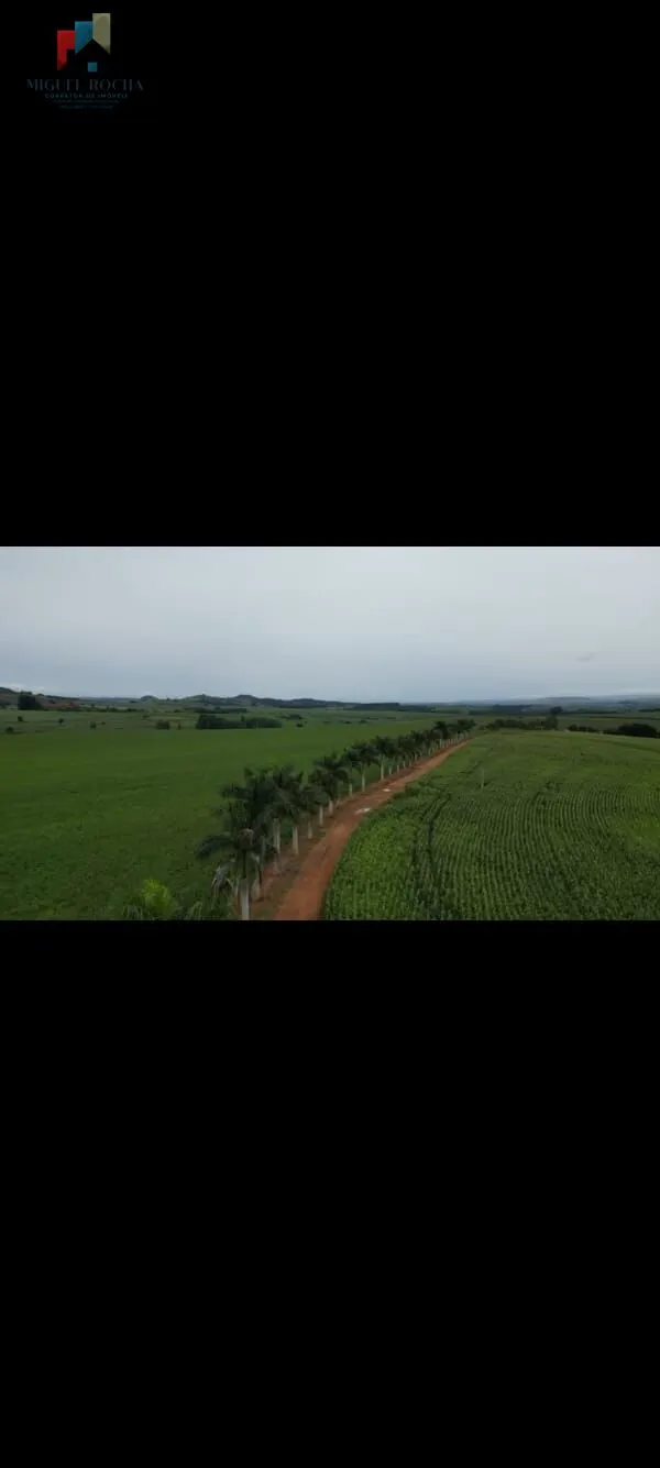 Imagem Fazenda a venda