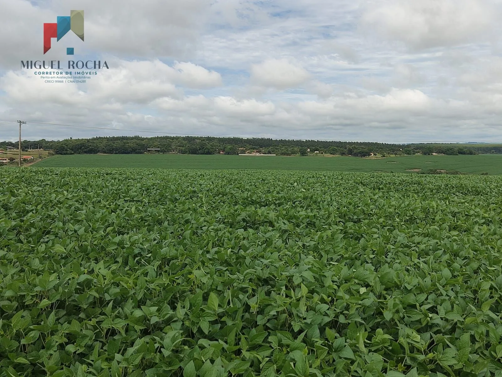 Imagem Fazenda região Itapetininga SP