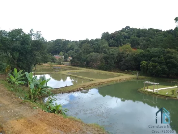 Imagem Chácara c/casa, área de: 20.000 mil m², asfalto na frente, no Palmitalzinho em Quatro Barras Pr