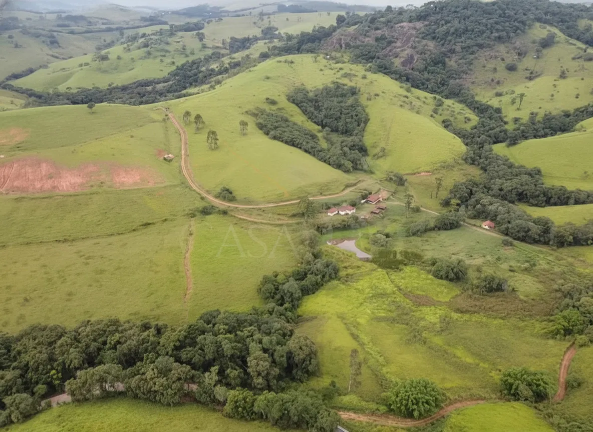 Imagem Sítio 52,64 ha à venda em Figueira, Caldas