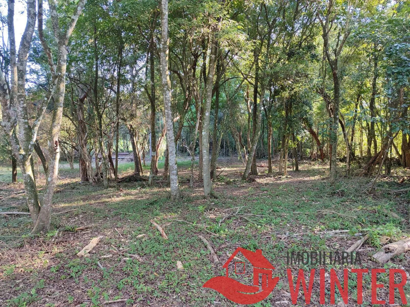 Imagem Área de terras plana com 4.800,00m² em Morro São Pedro, Bom Princípio.