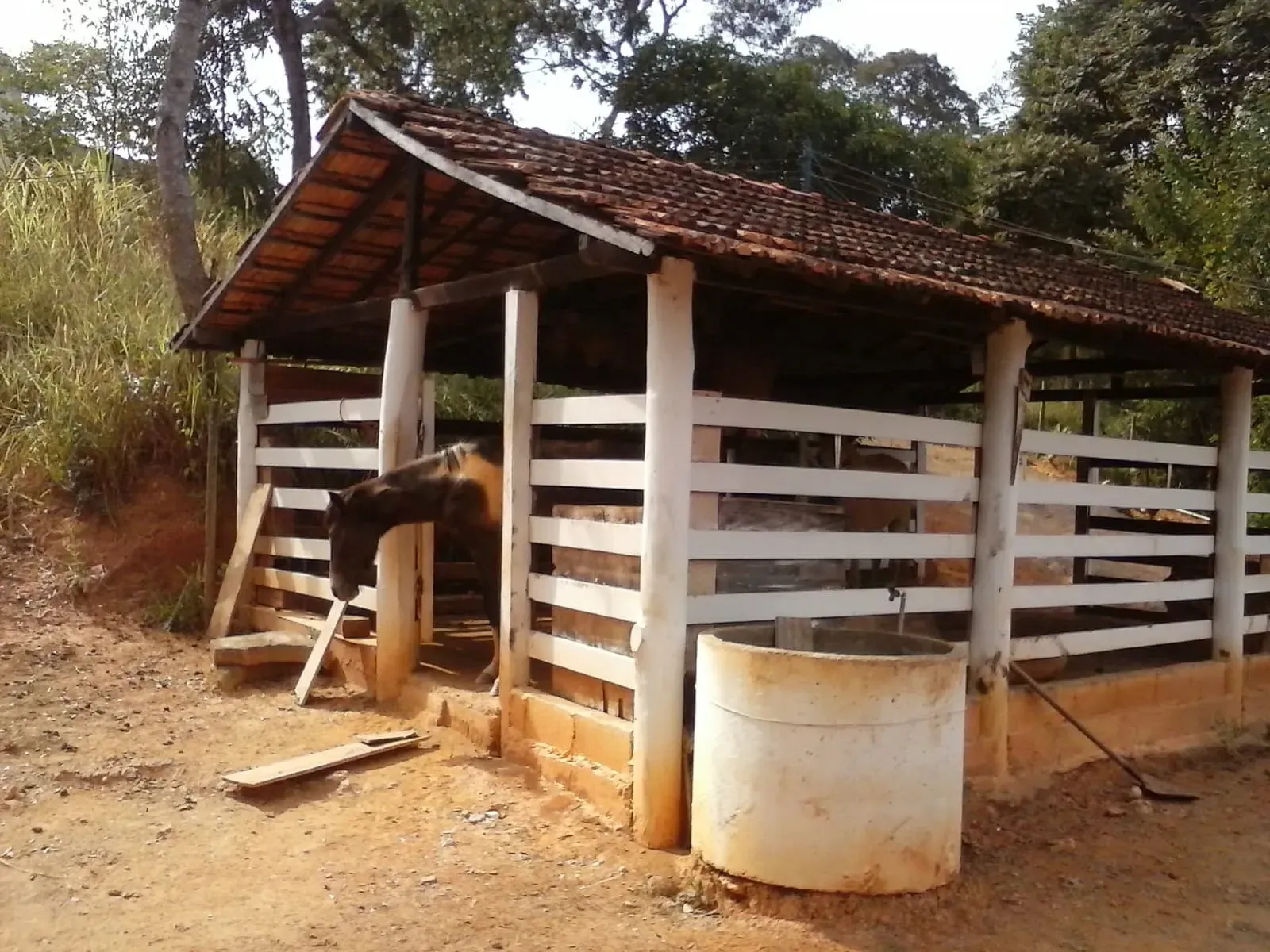Imagem Sítio à Venda, 50.000 m² em Centro - Jaboticatubas