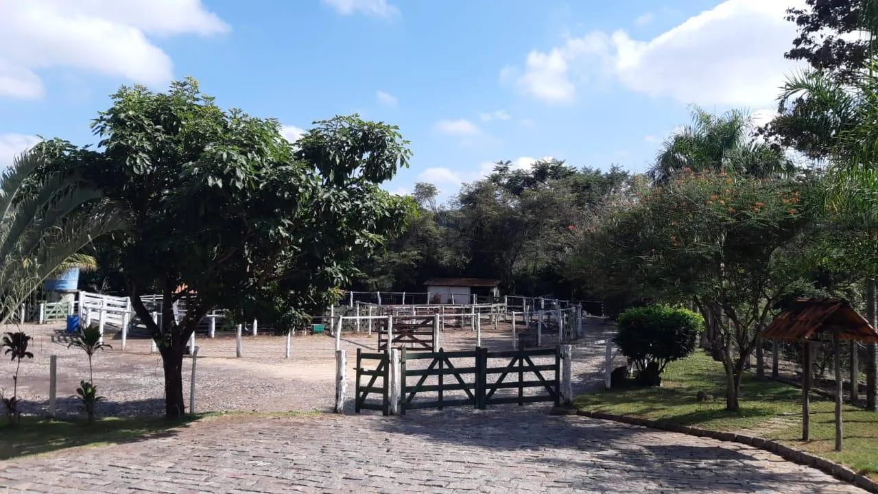 Imagem FAZENDA À VENDA - SÃO GONÇALO DO PARÁ 120 hectares de terra