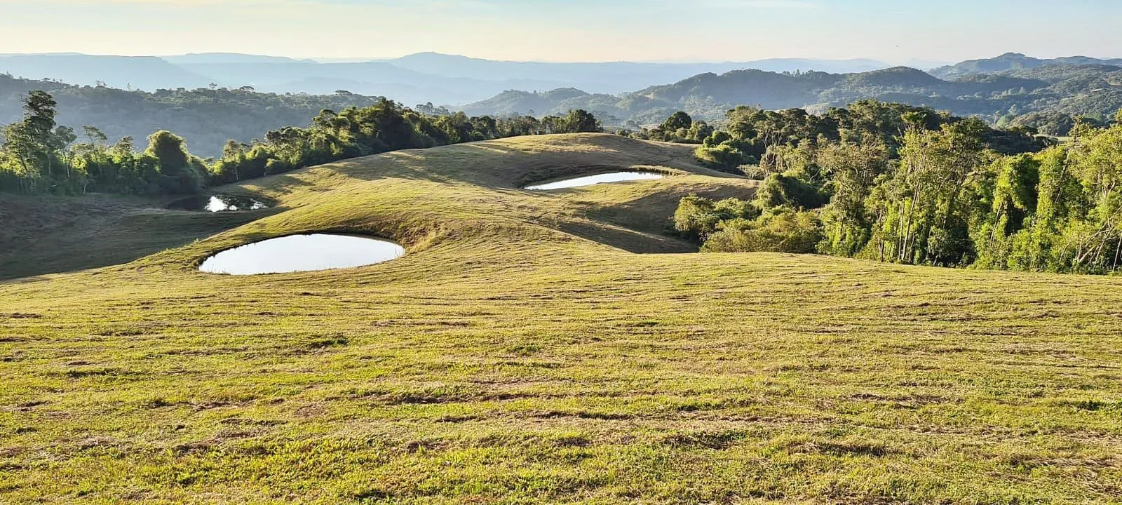 Imagem Oportunidade Única! Terreno com 4 Lagos e Escritura Pública em Rancho Queimado - 27,6 ha
