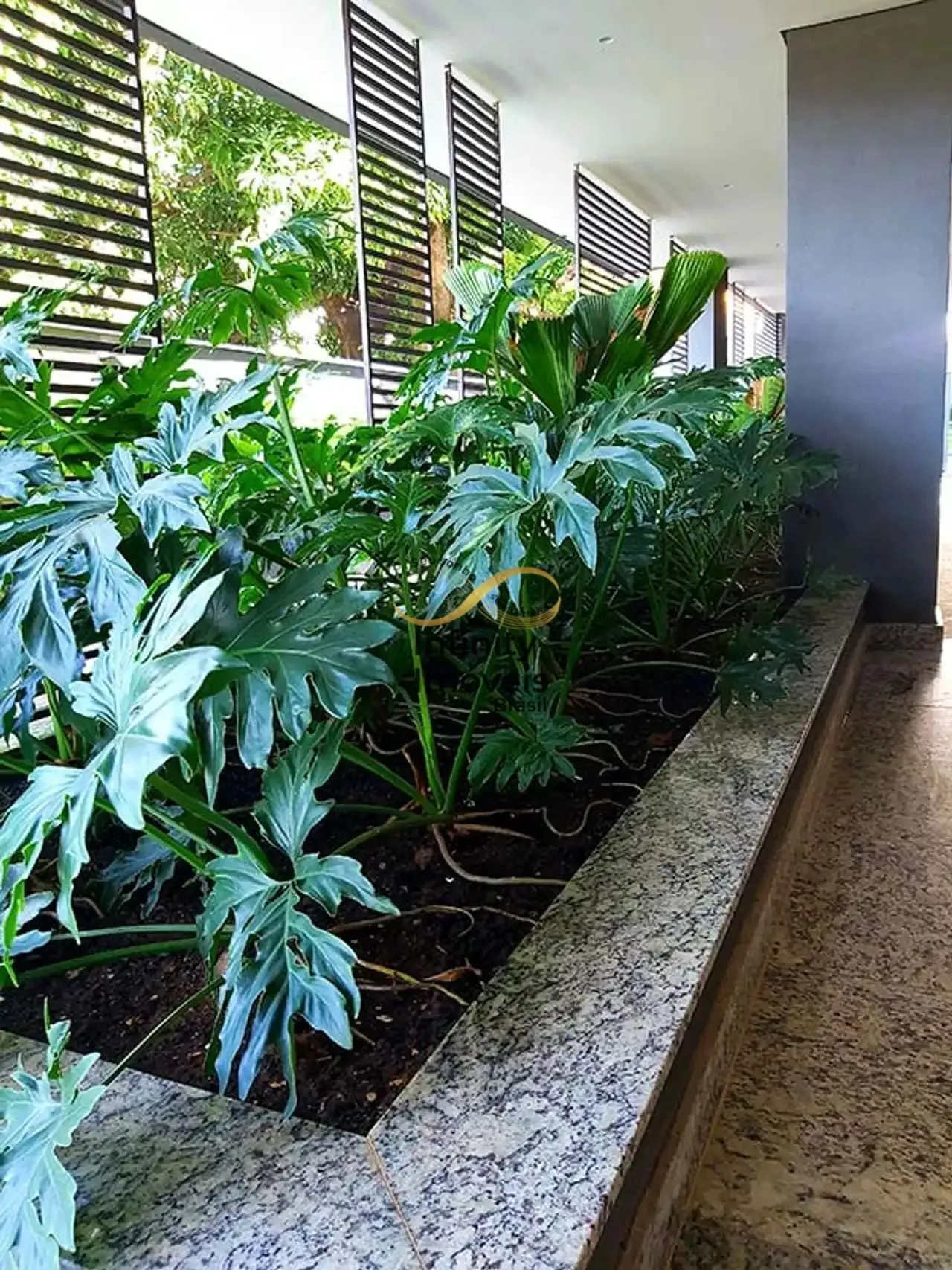 Imagem Apartamento à venda no bairro Sagrada Família - Belo Horizonte/MG