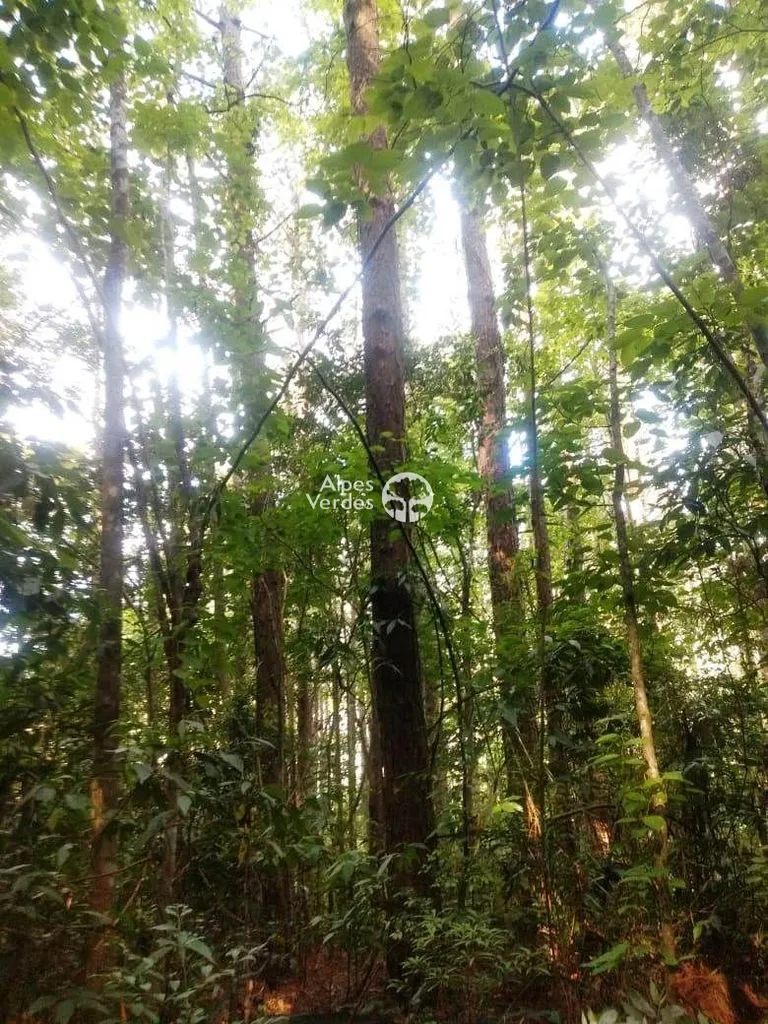 Imagem Terreno à venda por R$ 600.000 - Canela/RS