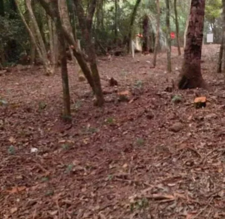 Imagem EXCELENTE!!! Terreno situado em um dos melhores condomínios de Viamão.