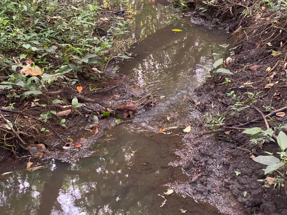 Imagem Excelente Terreno à Venda em Itaguara/MG: 19 Hectares com Fácil Acesso à BR-381
