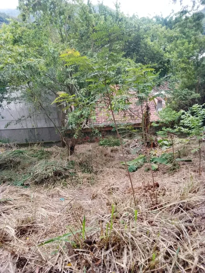 Imagem Terreno à Venda, 500 m² em Santa Bárbara - Niterói