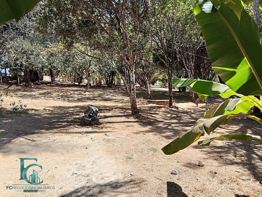 Imagem FAZENDA DAS FLORES - SEU CONDOMÍNIO DE CHÁCARAS!