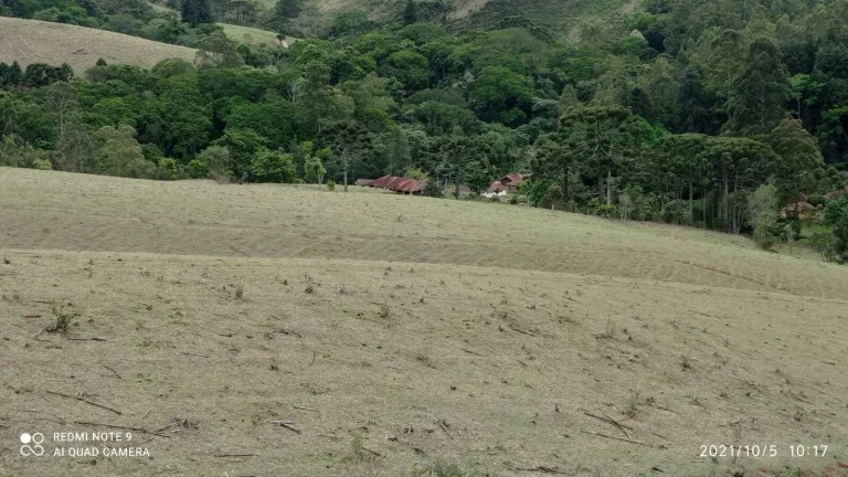 Imagem Sítio Joanópolis 11 alqueires pasto riacho escritura!!