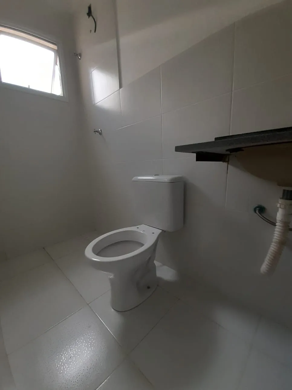 Imagem Está em busca de um novo lar para chamar de seu?