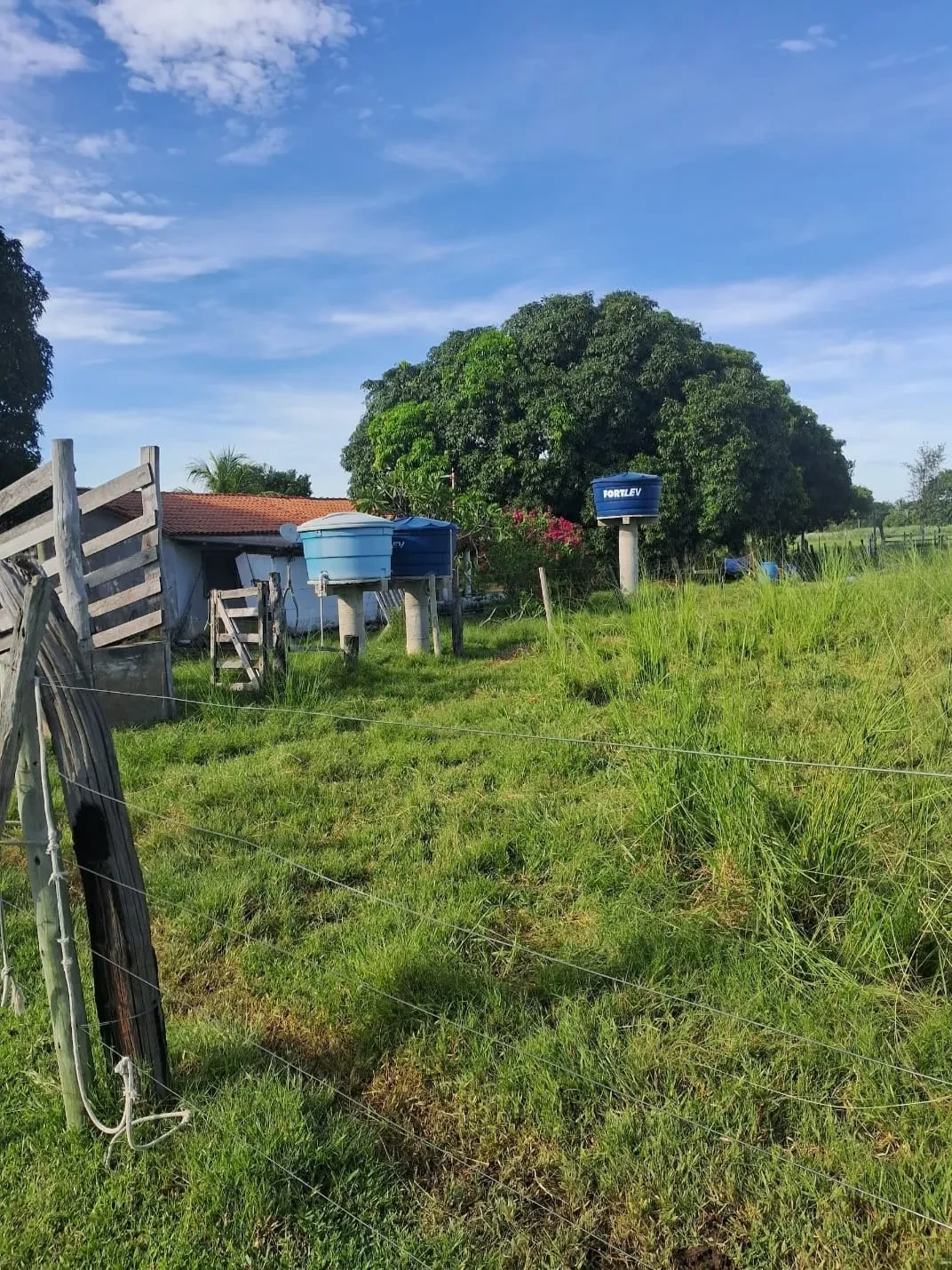 Imagem Chácara à Venda, 25000 m² em Poção - Cuiabá