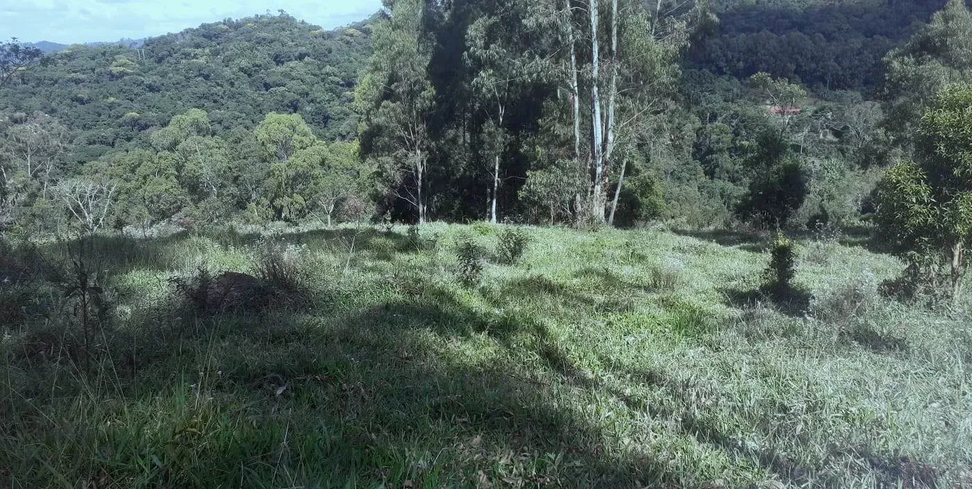 Imagem Chácara à Venda, 5.000 m² em zona rural - Poços de Caldas