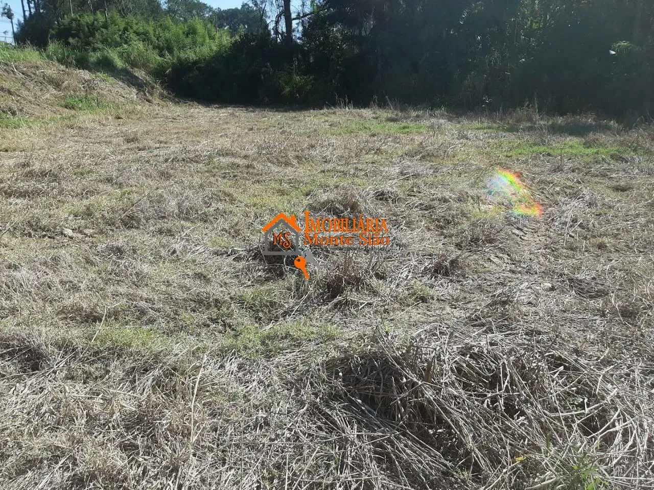 Imagem Terreno à venda, 5000 m² por R$ 3.750.000,00 - Pimentas - Guarulhos/SP