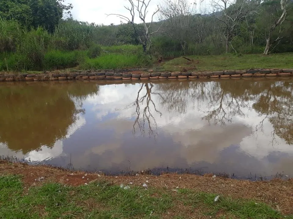 Imagem Venda de Sítio em Igarapé/MG / com 8.000 m²