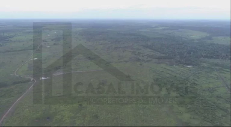 Imagem CASAL IMÓVEIS VENDE FAZENDA GOIANÉSIA DO PARÁ COM 3.533 HECTARES